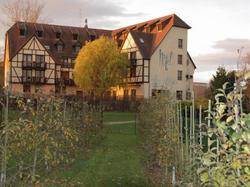 hotel-les-alizes lipsheim hotel-les-alizes lipsheim
