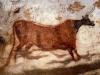 la-grotte-de-lascaux montignac