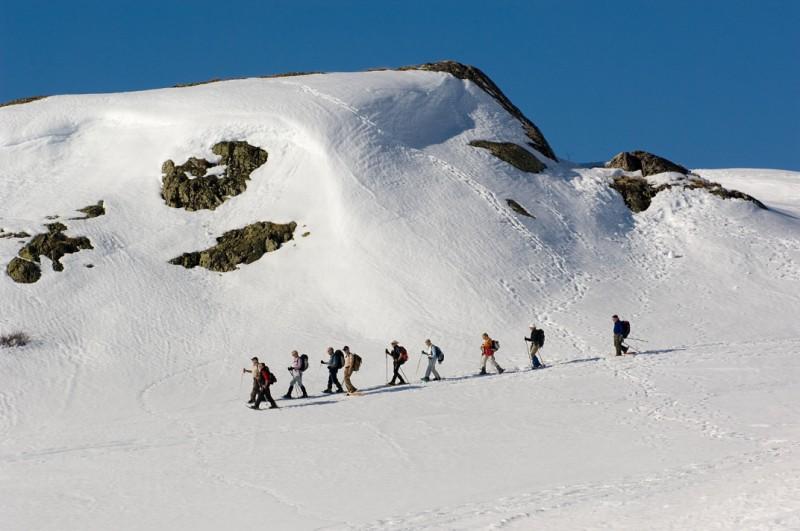 decouvrir-la-splendeur-des-montagnes-de-l-oisans decouvrir-la-splendeur-des-montagnes-de-l-oisans