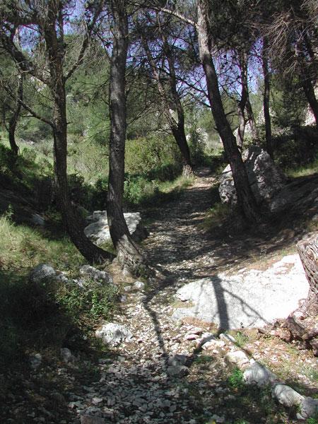 circuits-nature circuits-nature