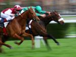 l-hippodrome-du-haut-rillon