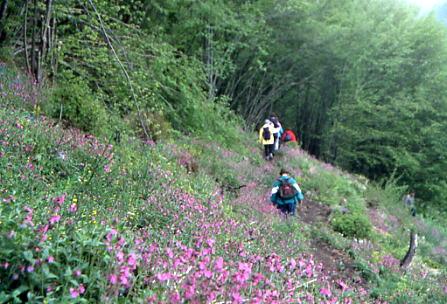 les-lacs-a-cornimont les-lacs-a-cornimont