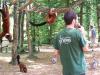 le-parc-animalier-a-ne-pas-rater-la-vallee-des-singes le-parc-animalier-a-ne-pas-rater-la-vallee-des-singes