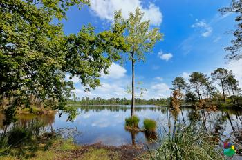 les-lagunes-du-gat-mort les-lagunes-du-gat-mort