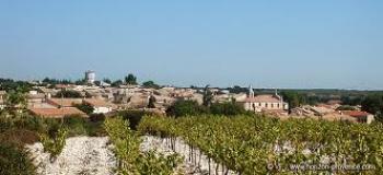 bergers-de-belvezet bergers-de-belvezet