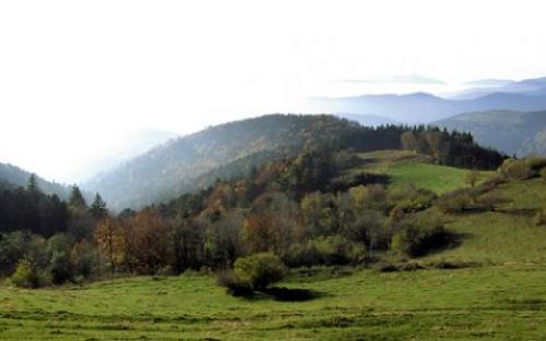decouverte-du-parc-naturel-des-ballons-des-vosges-puis-retour