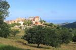 pigna